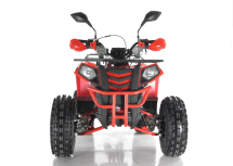 Квадроцикл RAPTOR Madman 200 Квадроцикл RAPTOR Madman 200