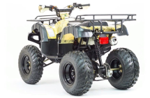 Квадроцикл MOTOLAND 250 Adventure (2021 Г.) Квадроцикл MOTOLAND 250 Adventure (2021 Г.)