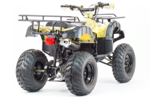 Квадроцикл MOTOLAND 250 Adventure (2021 Г.) Квадроцикл MOTOLAND 250 Adventure (2021 Г.)