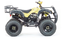 Квадроцикл MOTOLAND 250 Adventure (2021 Г.) Квадроцикл MOTOLAND 250 Adventure (2021 Г.)