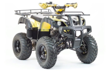 Квадроцикл MOTOLAND 250 Adventure (2021 Г.) Квадроцикл MOTOLAND 250 Adventure (2021 Г.)