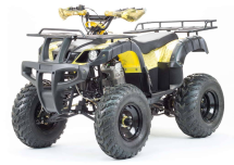 Квадроцикл MOTOLAND 250 Adventure (2021 Г.) Квадроцикл MOTOLAND 250 Adventure (2021 Г.)