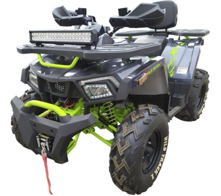 Квадроцикл MOTOLAND WILD TRACK X Winch 200 PRO (баланс. вал), фото 1