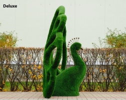 Топиари павлин Королевский - газон Eco, фото 7