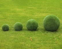 Топиари Шар в виде куста туи, 100 см - газон Eco