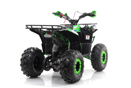 Квадроцикл MOTAX Grizlik A125, фото 17