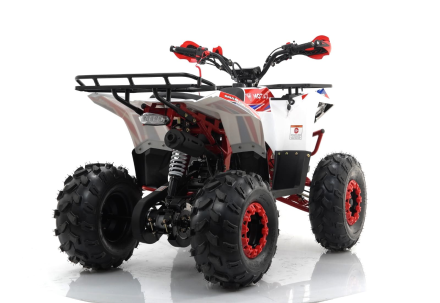 Квадроцикл MOTAX Grizlik A125, фото 11