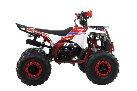 Квадроцикл MOTAX Grizlik A125, фото 9