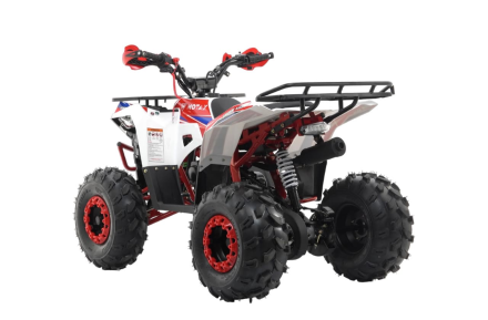 Квадроцикл MOTAX Grizlik A125, фото 8