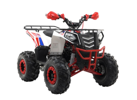 Квадроцикл MOTAX Grizlik A125, фото 7