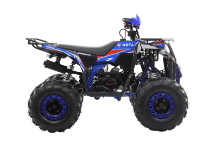 Квадроцикл MOTAX Grizlik A125, фото 4