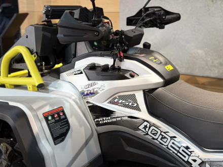 Квадроцикл АОДЕС PathCross 800L Mud Pro EPS LCD (ПСМ), фото 3