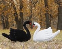 Топиари композиция лебеди Мони и Блэк - газон Eco Топиари композиция лебеди Мони и Блэк - газон Eco