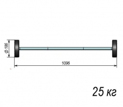 Штанга тренировочная 25кг ST580-25 