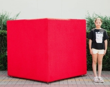 Топиари куб Красный h=75 см - газон Eco