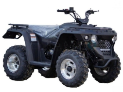 Квадроцикл LINHAI-YAMAHA M150, фото 5 Квадроцикл LINHAI-YAMAHA M150, фото 5