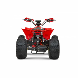 Квадроцикл YACOTA E-Sport 3000W LD, фото 5