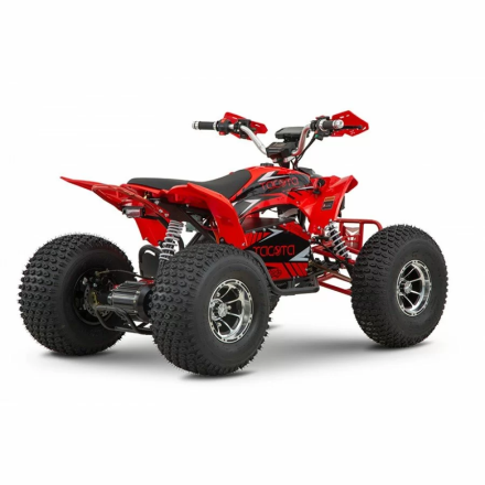 Квадроцикл YACOTA E-Sport 3000W LD, фото 4