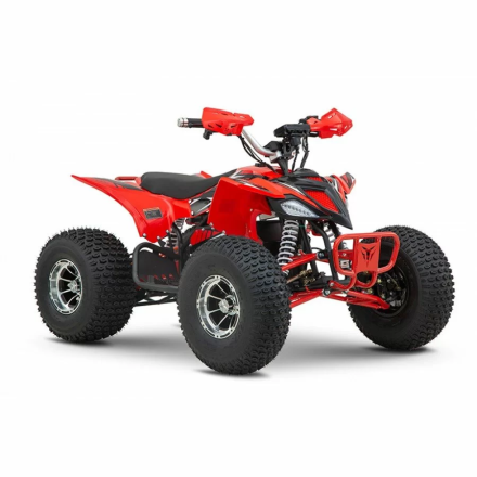 Квадроцикл YACOTA E-Sport 3000W LD, фото 2