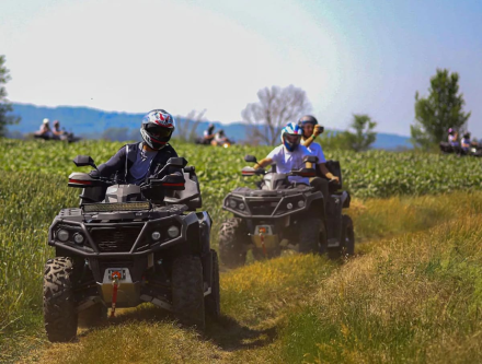 Квадроцикл АОДЕС PathCross 800L Pro EPS (ПСМ), фото 3