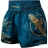 Шорты Hayabusa haytshorts013