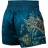 Шорты Hayabusa haytshorts013