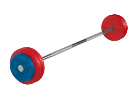 Штанга неразборная &quot;Barbell&quot; с цветными дисками d 25 мм, 30 кг, фото 1