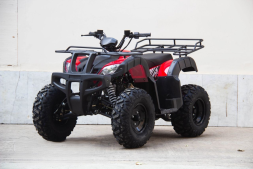 Квадроцикл UNIVERSAL Avenger JR 150, фото 2