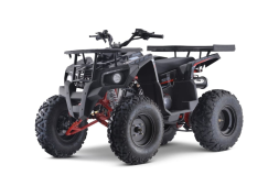 Квадроцикл YACOTA Grom 200, фото 1