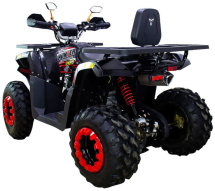 Квадроцикл AVANTIS Hunter 200 New Premium (2020) Квадроцикл AVANTIS Hunter 200 New Premium (2020)