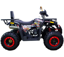 Квадроцикл AVANTIS Hunter 200 New Premium (2020) Квадроцикл AVANTIS Hunter 200 New Premium (2020)