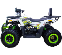 Квадроцикл AVANTIS Hunter 200 New Premium (2020) Квадроцикл AVANTIS Hunter 200 New Premium (2020)