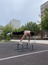 Паралетсы классические серый Паралетсы классические серый