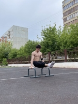 Паралетсы классические серый Паралетсы классические серый