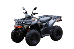 Квадроцикл LONCIN Overland 200, фото 1