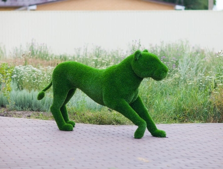 Топиари &quot;Львица&quot;, фото 1