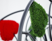 Топиари Дерево влюбленных - газон Eco