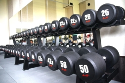 Aerofit AFDB40-50 набор обрезиненных гантелей, фото 2 Aerofit AFDB40-50 набор обрезиненных гантелей, фото 2