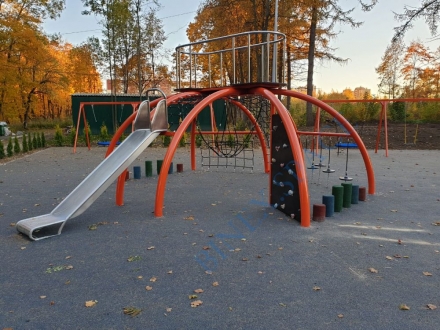 Черепаха, фото 6