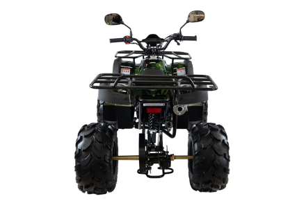 Квадроцикл MOTAX ATV Grizlik 7 110 cc, фото 7