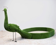 Топиари Павлин клумба - газон Eco Топиари Павлин клумба - газон Eco