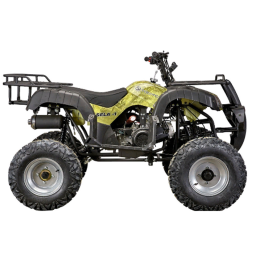 Подростковый квадроцикл YACOTA SELA 150, фото 2