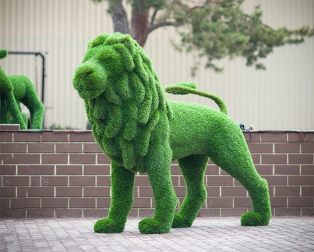 Топиари &quot;Лев с гривой&quot;, фото 1