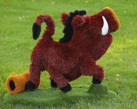 Топиари кабан Валери - газон Eco, фото 3