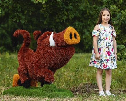 Топиари кабан Валери - газон Eco, фото 4