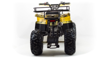 Квадроцикл MOTOLAND 150 Maverick Квадроцикл MOTOLAND 150 Maverick