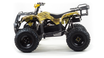 Квадроцикл MOTOLAND 150 Maverick Квадроцикл MOTOLAND 150 Maverick