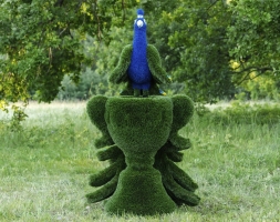 Топиари композиция Павлин на вазоне - газон Deluxe, фото 3