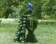 Топиари композиция Павлин на вазоне - газон Deluxe Топиари композиция Павлин на вазоне - газон Deluxe