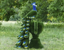 Топиари композиция Павлин на вазоне - газон Deluxe, фото 4